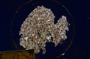 Cross Polarized, S175