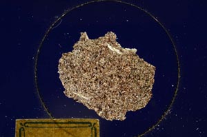 Cross Polarized, S176