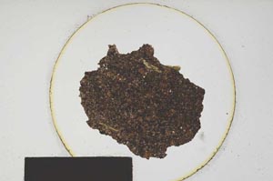 Plane Polarized, S176