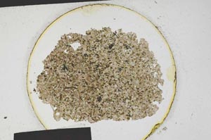 Plane Polarized, S182