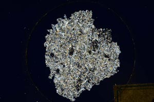 Cross Polarized, S194/A