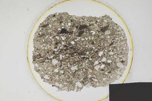 Plane Polarized, S196