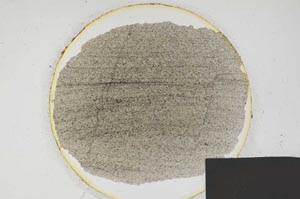 Plane Polarized, S197