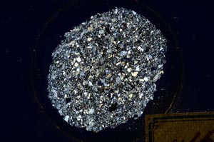 Cross Polarized, S198