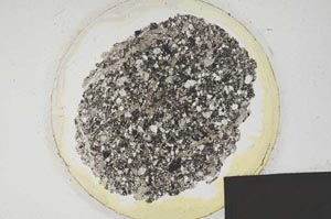 Plane Polarized, S198