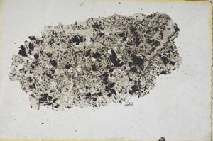 Plane Polarized, S230