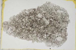 Plane Polarized, S231