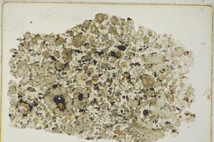 Plane Polarized, S8461