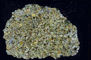 Cross Polarized, S8462