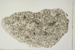 Plane Polarized, S8465