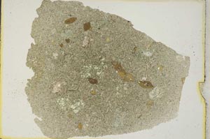 Plane Polarized, S8466