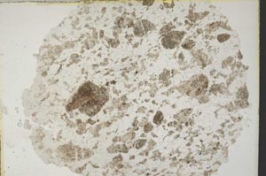 Plane Polarized, S8473