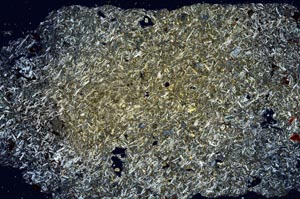 Cross Polarized, S8490