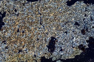 Cross Polarized, S8491