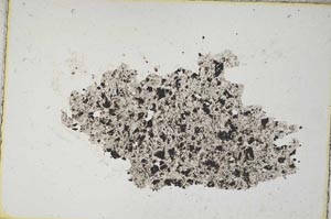 Plane Polarized, S8493