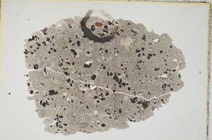 Plane Polarized, S8494