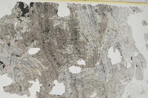 Plane Polarized, S8549