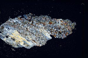 Cross Polarized, S8555