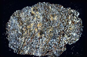 Cross Polarized, S8556