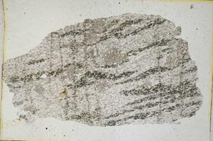 Plane Polarized, S8559