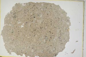 Plane Polarized, S8565