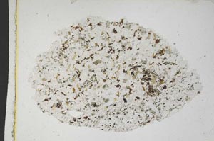 Plane Polarized, S8566