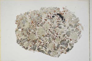 Plane Polarized, S8568