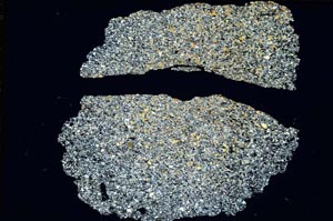 Cross Polarized, S8569