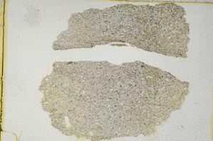 Plane Polarized, S8569