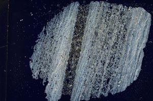 Cross Polarized, S8573