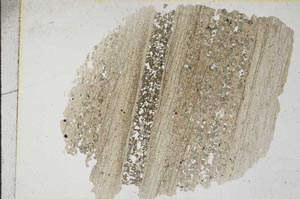 Plane Polarized, S8573