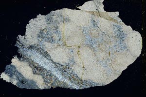 Cross Polarized, S8574