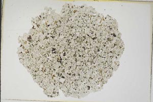 Plane Polarized, S8575