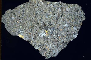 Cross Polarized, S8577