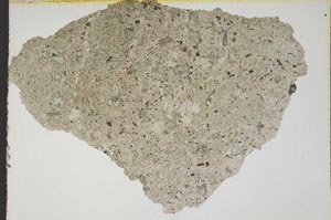 Plane Polarized, S8577