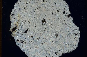 Cross Polarized, S8578