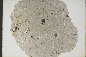 Plane Polarized, S8578