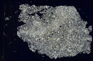 Cross Polarized, S8588