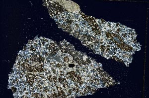 Cross Polarized, S8593