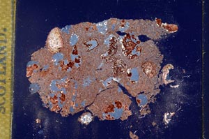 Cross Polarized, S8597