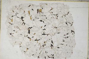 Plane Polarized, S8628