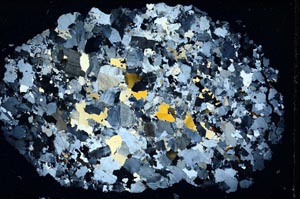 Cross Polarized, S8629