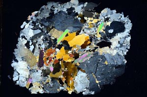 Cross Polarized, S8630