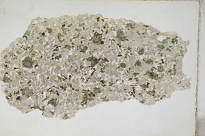 Plane Polarized, S8635