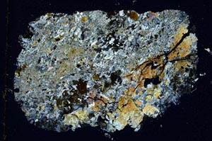 Cross Polarized, S8636