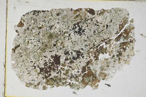 Plane Polarized, S8636