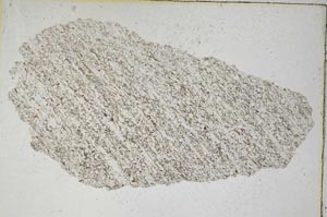 Plane Polarized, S8638