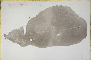 Plane Polarized, S8679