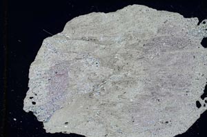 Cross Polarized, S8682