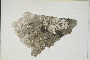 Plane Polarized, S8703